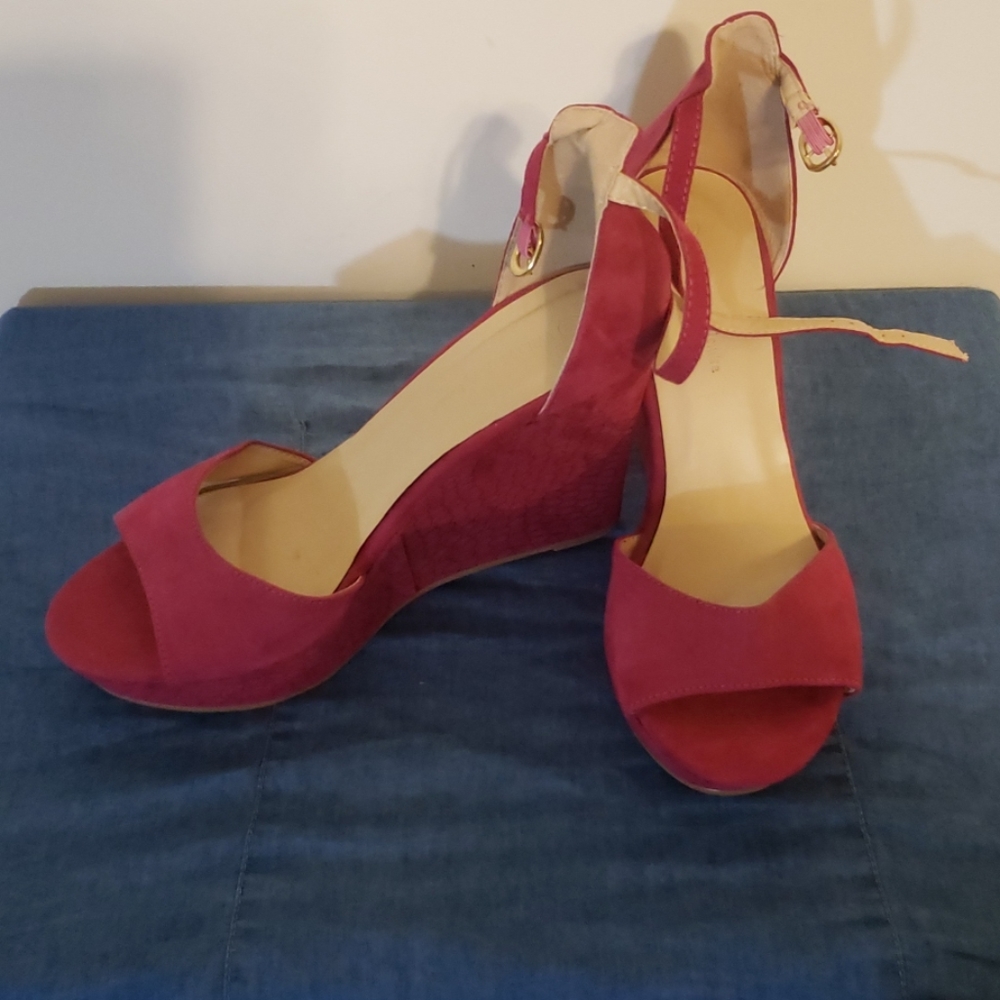 Hot Pink Wedges (sz 10)